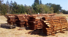 redwood slabs