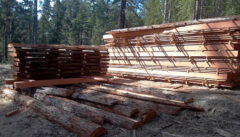 Redwood slabs and dimensional lumber