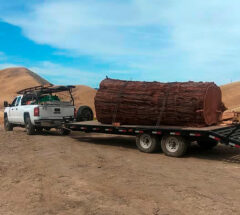 Truck and trailer with log