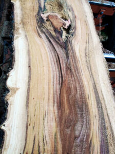 Cypress log